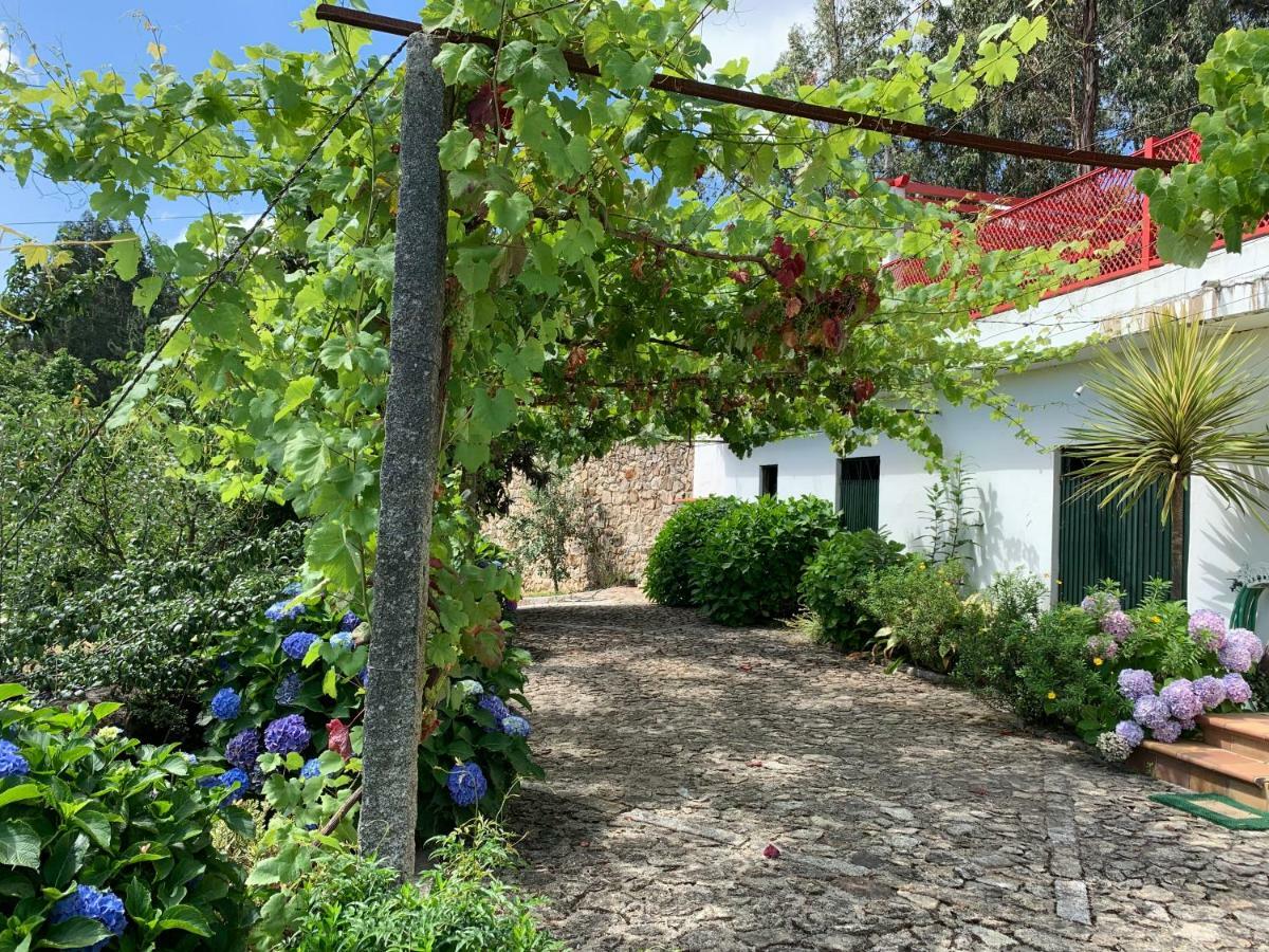 Vila Aurora Parada de Gatim Extérieur photo